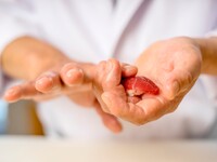 【7/8-9】おまかせ握り寿司　一ツ葉