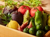 [Dinner] 11 types of seasonal small dishes and non-alcoholic drink pairing course -Sabo-