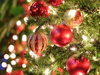 ２０２６クリスマス特別コース