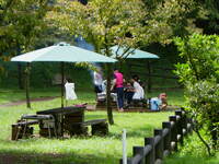 ★テーブルのみプラン（屋根なし）：11時~14時