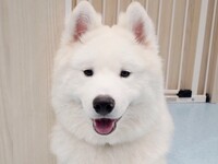 ≪平日≫貸切プラン（50分）¥25,000