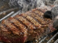 【ニーダーズコース　〜旬の食材×お肉〜】緑豊かなてんしばテラスで楽しむ、季節の前菜やパスタ×牛ハラミ含む3種グリル含む全7品 120分飲み放題付コース