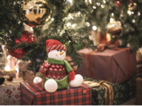 【2024 クリスマスパーティー】アートグレイス大宮　プレミアムブッフェランチ　大人