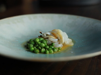 Alcohol pairing course (60ml)