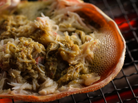 【冬の極コース】　55,000円