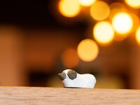 【Xmas 12/24・25限定】北海道夕張産の国産羊や11種部位が楽しめる”羊の夢見るコース”