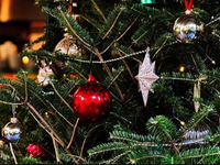 [EARLY CHRISTMAS DINNER] December 2nd - December 19th Early Christmas Dinner Course Plan 8,000 yen (DINNER)