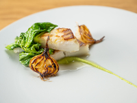 季節の食材を使用したコース料理全7品