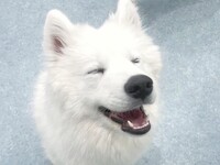 Weekends and Holidays: Private plan (50 minutes) ¥45,000