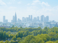 《平日WEB予約限定ご優待》ランチビュッフェ大人 ￥8,000→￥7,392