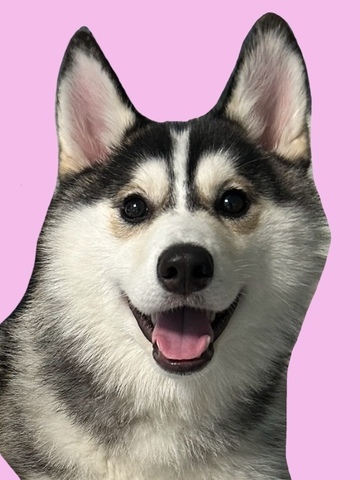 3b63a008.jpg?1734530229