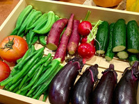 Seat only reservation