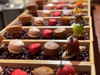 【1/5～10限定Lunch】メインを選べる全5品のコース 