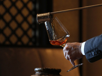 "Ryutenmon" Premium Free Flow