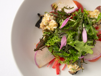 【Lunch | Weekdays】La Maison Course