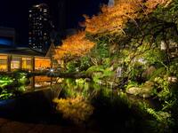 [Special Price (Dinner)] Kei Kaiseki + Free Flow 20,000 yen