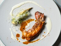 [Japanese Black Beef and Rotisserie Chicken Course + All-You-Can-Drink]