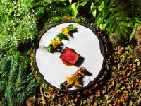 LOQUAT Seasonal Dinner Course