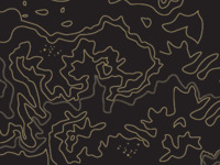 NV   MOËT & CHANDON BLANC BRUT "IMPERIAL"  1부