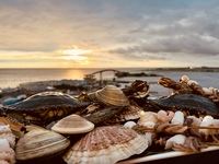 Curso Especial de Jantar Hamayaki e Churrasco [Aniversário Gratuito]