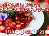 ランチブッフェ(第2部  13:30~）　小学生　1名　2,000円