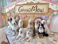 [Weekends and Holidays] Party Buffet & Interaction Plan