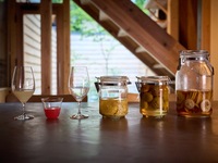 Lunch Tasting Menu + Non-alcholic Pairing