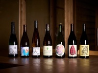 Dinner Tasting Menu + Wine Pairing 