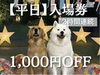 Admission ticket (weekdays) 2 consecutive hours