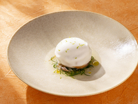 KASA/Casual Course (Choice of Starter + Choice of Main +Drink) +1 drink
