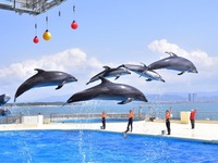 【マリンワールドチケット付き 】 朝食ビュッフェ  (中学生)