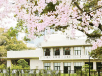 【4月4日(土)限定】SAKURA Course　お子様コース