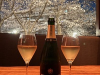 お花見席確約【2025Coucheの桜ランチ】 Aコース 全9品