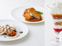 Sky lounge course