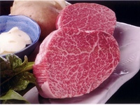 仅限2026年3月和4月：“春季高级课程” 22,000日元（含税）