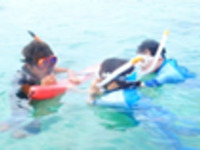 「Stay GUEST」Beach Snorkel Tour, 60 minutes2025 (Season A)　3/1-4/25,5/7-6/30,10/1-2/28