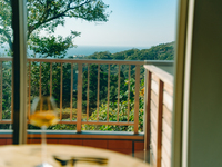 【平日ランチ限定】魚介がメインのショートコース