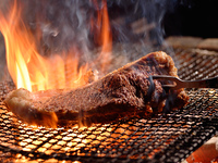 【※土日祝限定※スペシャルランチコース》】