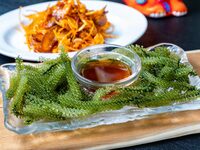 ベイシックコース