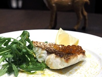 【平日 Lunch】ペッシェ・プランツォ「鮮魚のグリル」