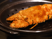 2025 Spring/Summer Ryukyu & Miyako Premium Course