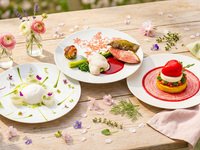 【月曜日限定】プリフィックスディナープログラム