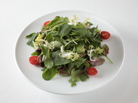 [Takeout] Mesclum Salad