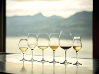 自然 - Jinen Dinner Course - 【メイン島根和牛】+Entôペアリング