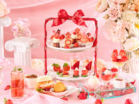 "I'm a long-tailed chickadee." Collaboration! Long-tailed chickadee lunch spring ~Like Afternoon Tea~