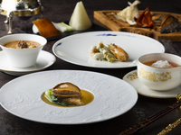 ◆個室◆【特別コース 昇龍】高級食材を使用した全9品【料理長渾身の本格四川料理】