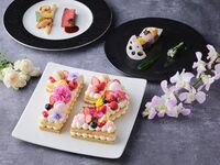 【アニバーサリーディナー】数字が選べるナンバーケーキ・メインは鱸又はオーストラリア産牛ロース肉が選べる全4皿ディナー（平日）