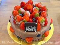【12月10日受取分よりご予約可能】🍓苺スペシャルチョコクリーム🍓(6号18cm)6~8名様前後用【基本形】【税込7,614円】