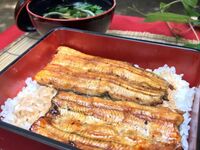 Ushio Teppanyaki & Eel Rice Bowl A Course