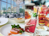 【平日限定＊3時間飲み放題付き】厳選豚肉や旬野菜を使用した4品ランチ -SEASON-